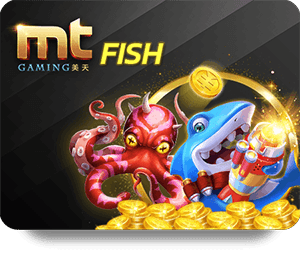 Cách chơi casino trực tiếp cho người mới bắt đầu.